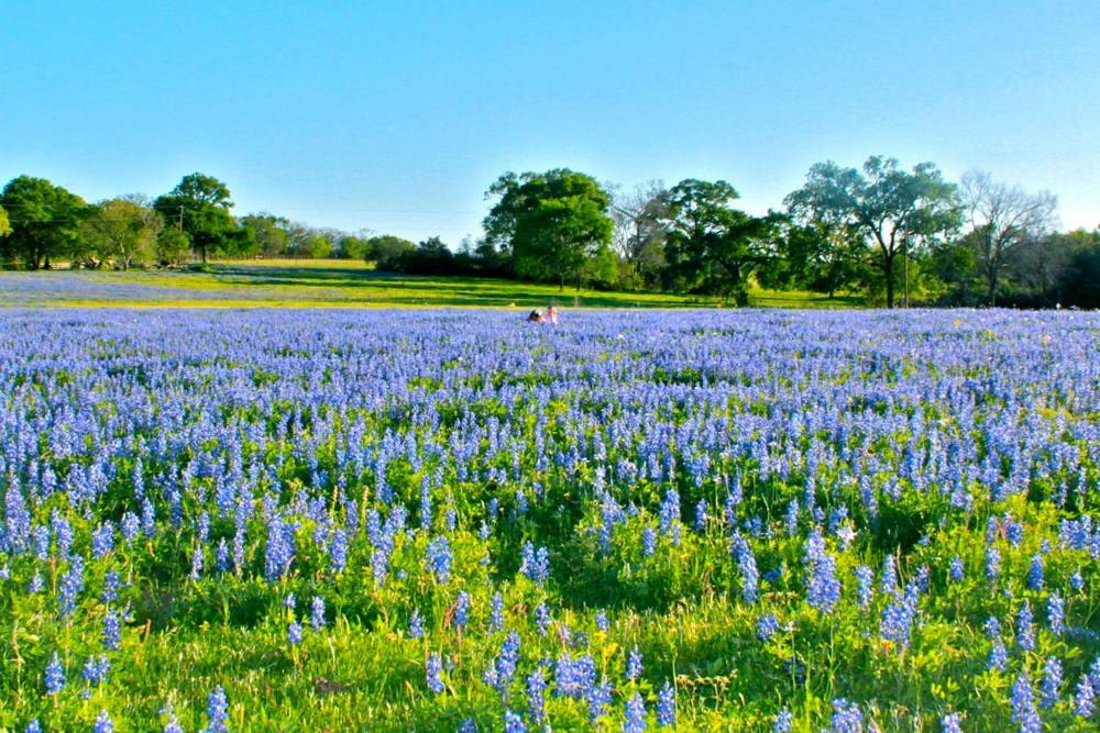 Square Inn Wimberley Exteriér fotografie